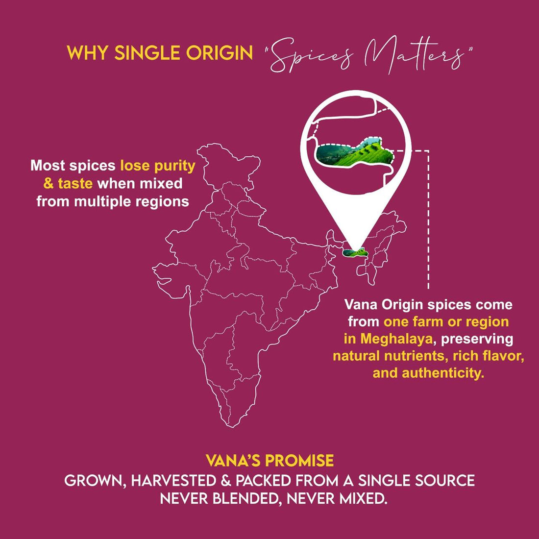 single-origin-spices