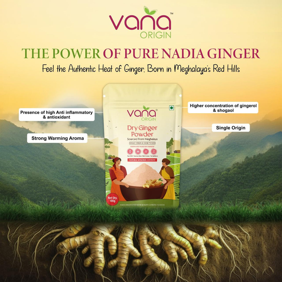 Dry ginger powder sonth single origin from Meghalaya by Vana Origin
