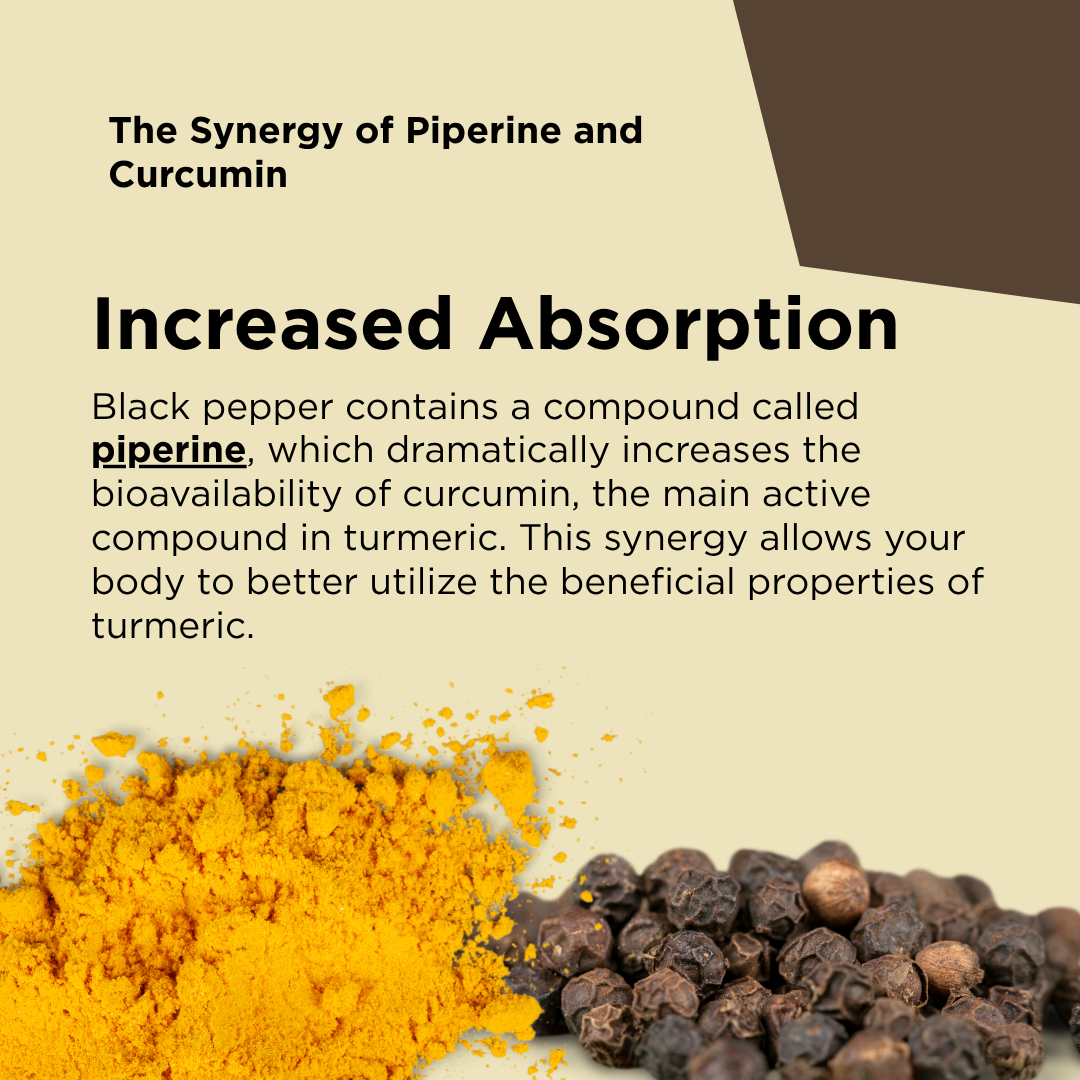 Turmeric powder with black pepper increases absorption