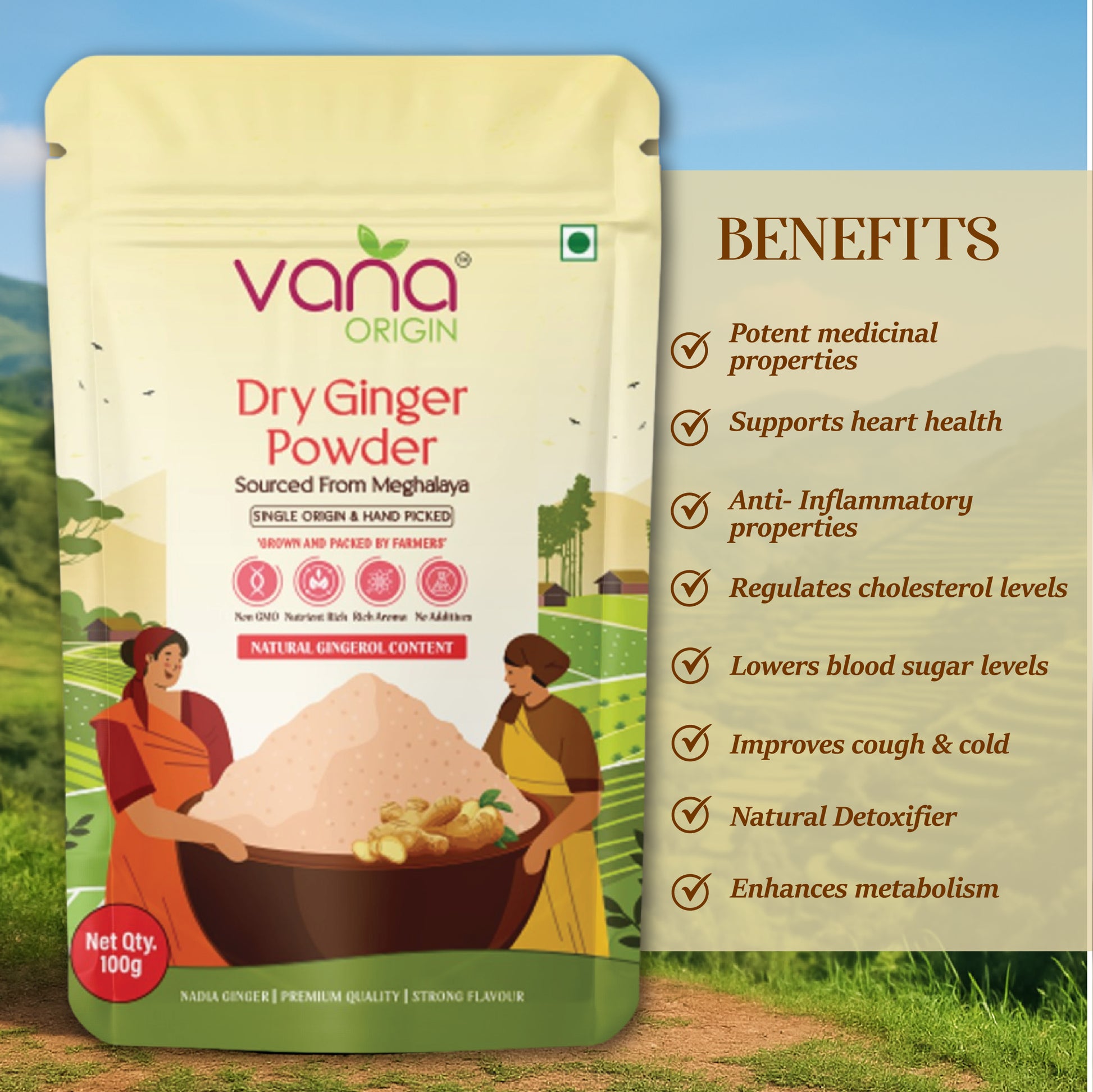 ginger powder health benefits