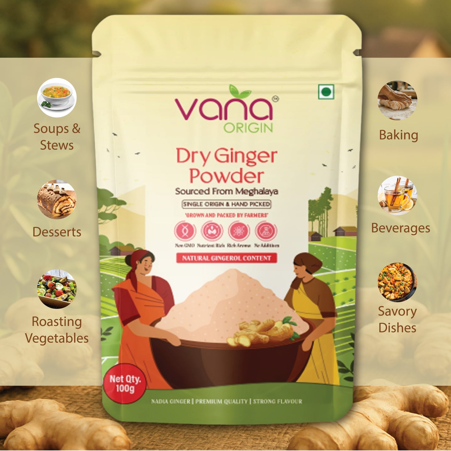 ginger powder daily uses
