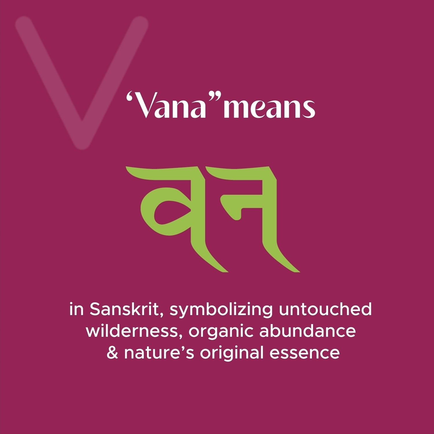 Text and green symbol on a pink background with 'Vana' meaning explanation.
