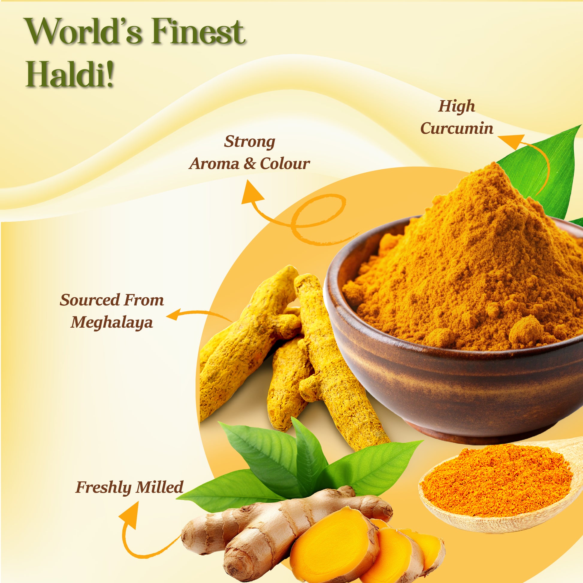 best lakadong turmeric powder